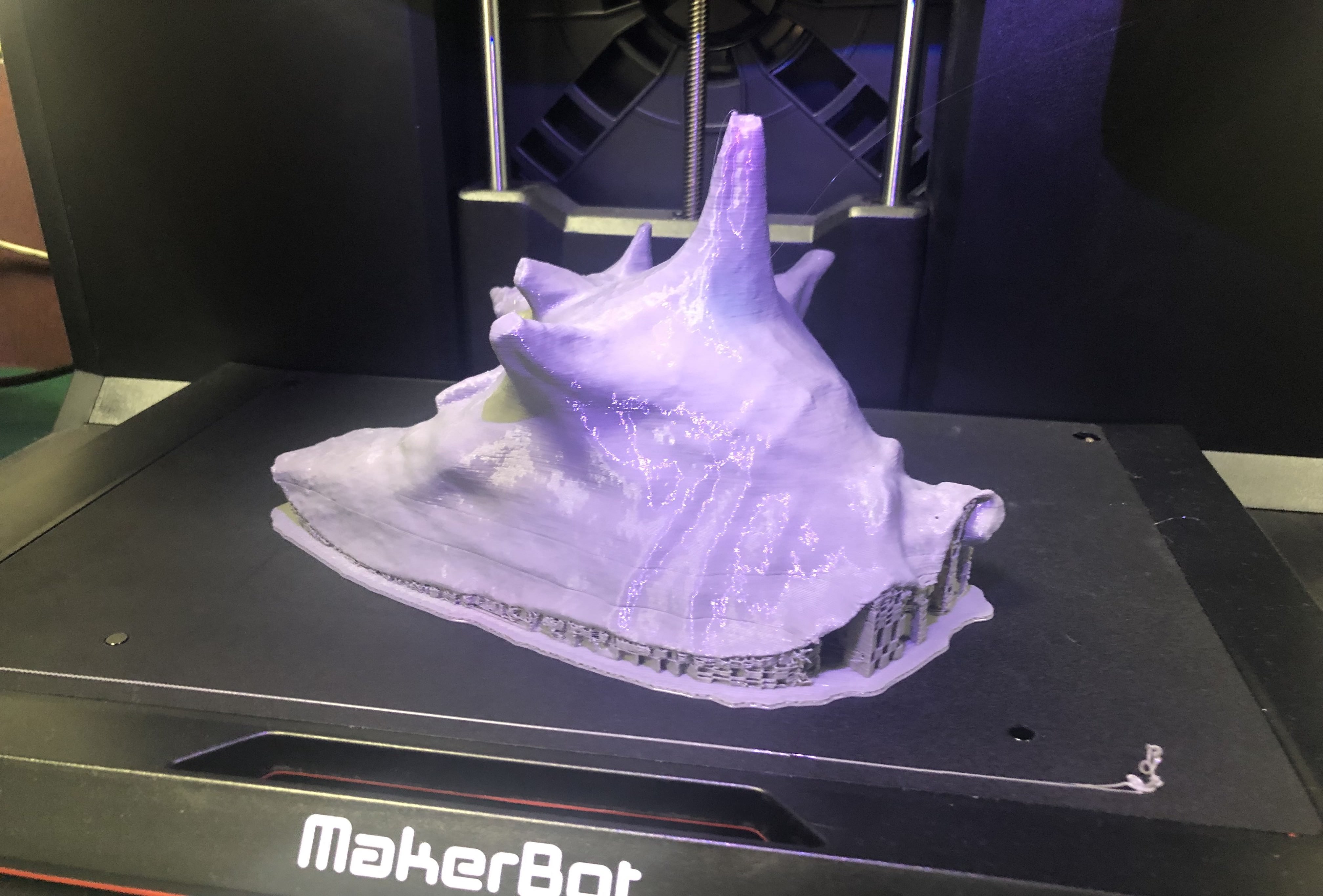 3D PRINTED CONCH SHELL
